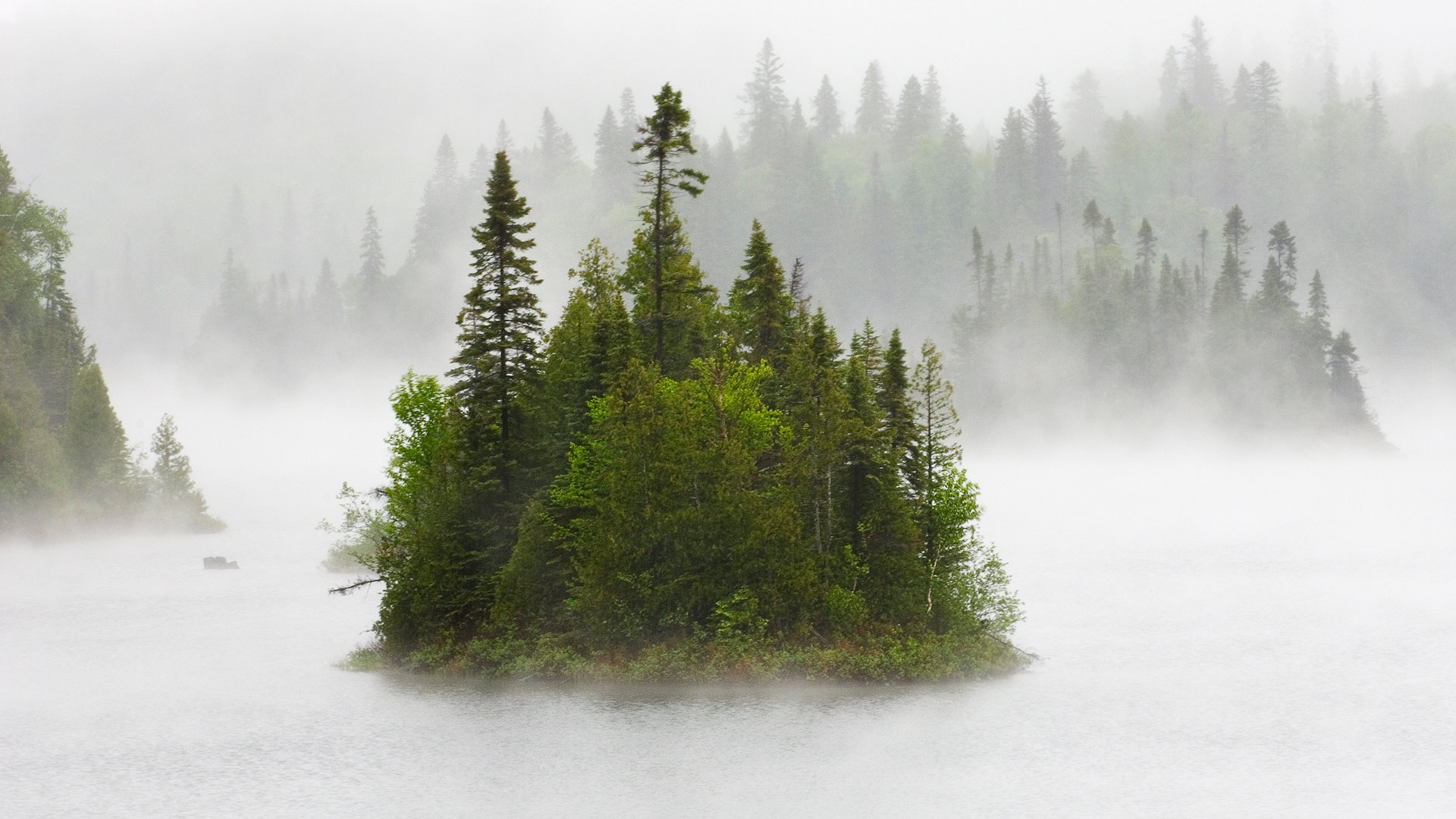 https://bing.ee123.net/img/rand?artid=1741706049