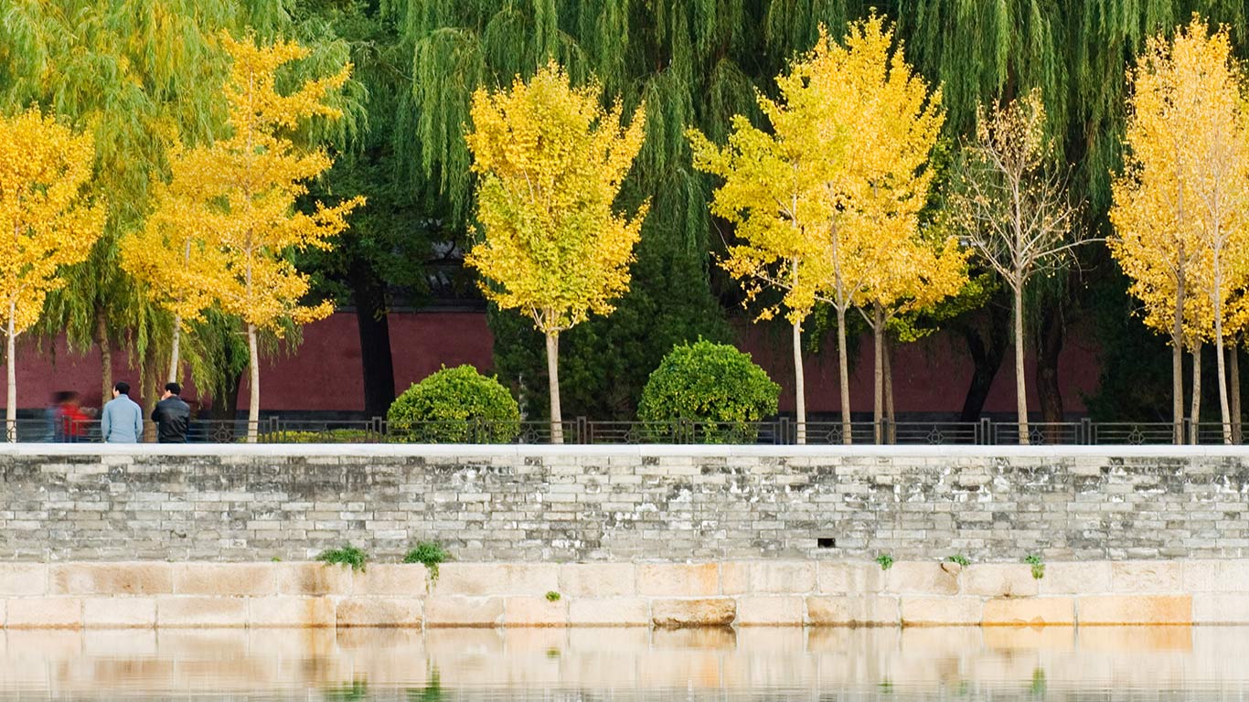 https://bing.ee123.net/img/rand?artid=17739605