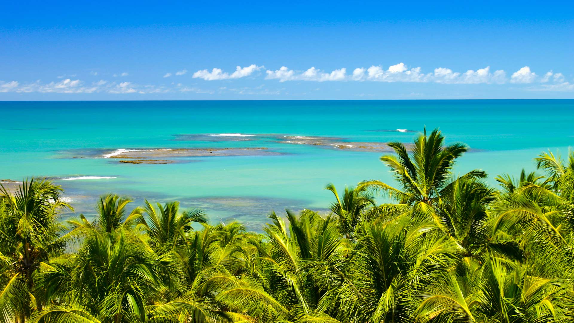 https://bing.ee123.net/img/rand?artid=23260737