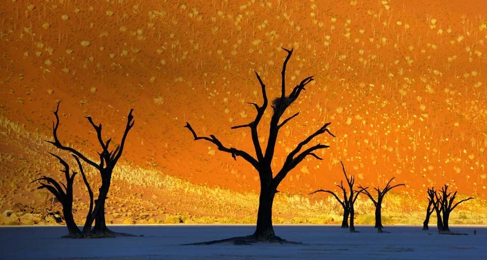 https://bing.ee123.net/img/rand?artid=3035790