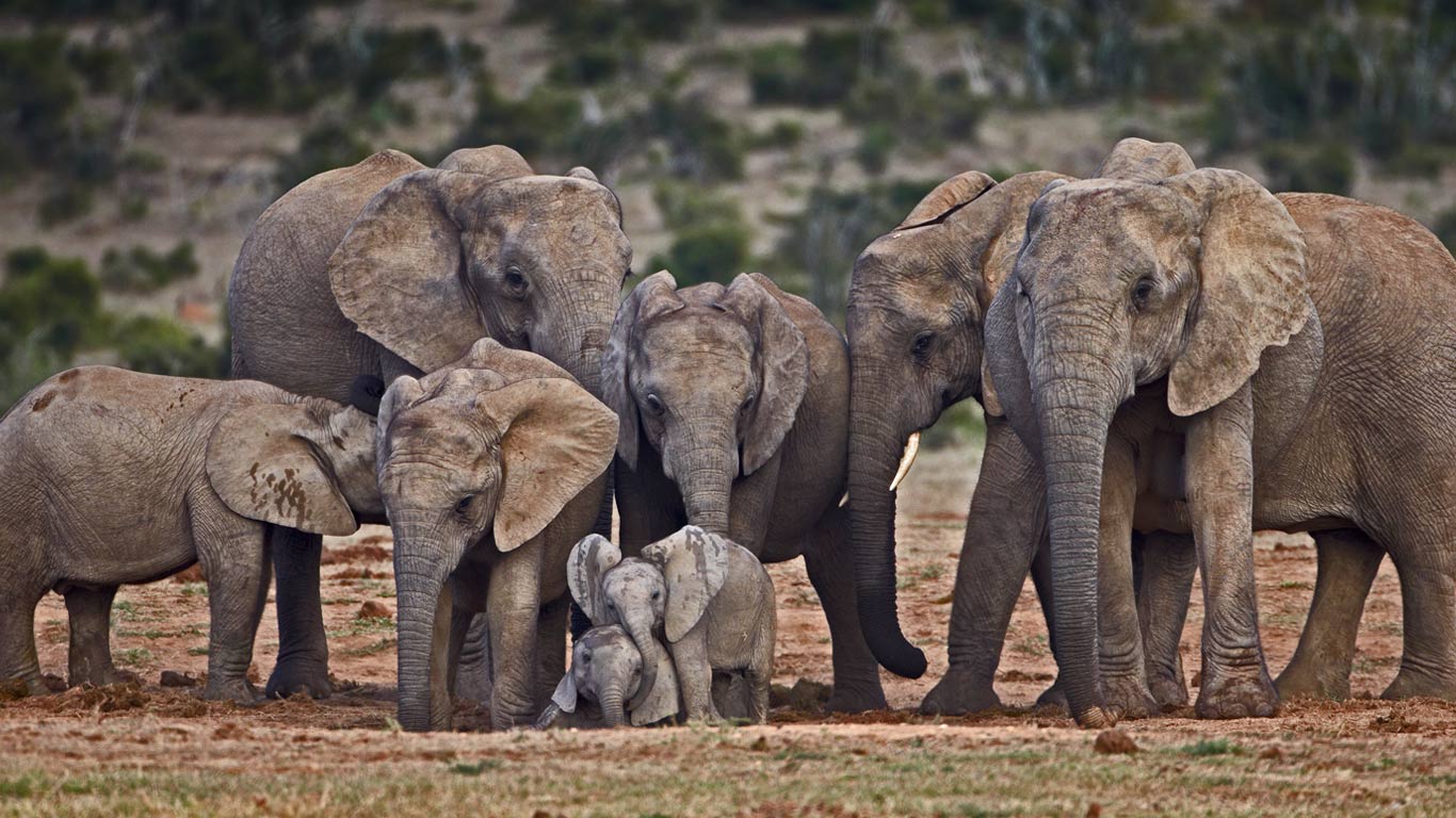 https://bing.ee123.net/img/rand?artid=335552
