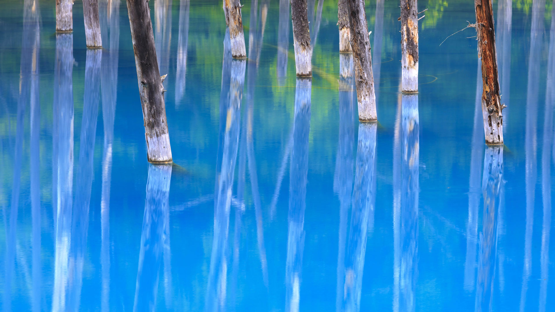 https://bing.ee123.net/img/rand?artid=46379607
