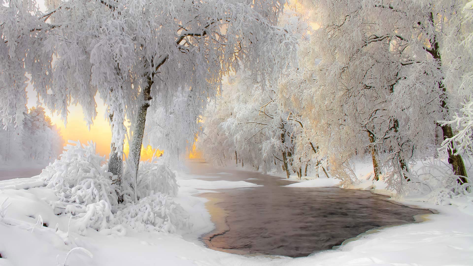 https://bing.ee123.net/img/rand?artid=5594000