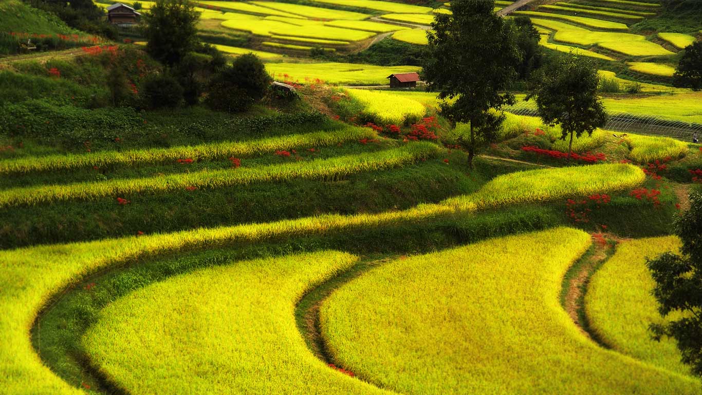 https://bing.ee123.net/img/rand?artid=73918377