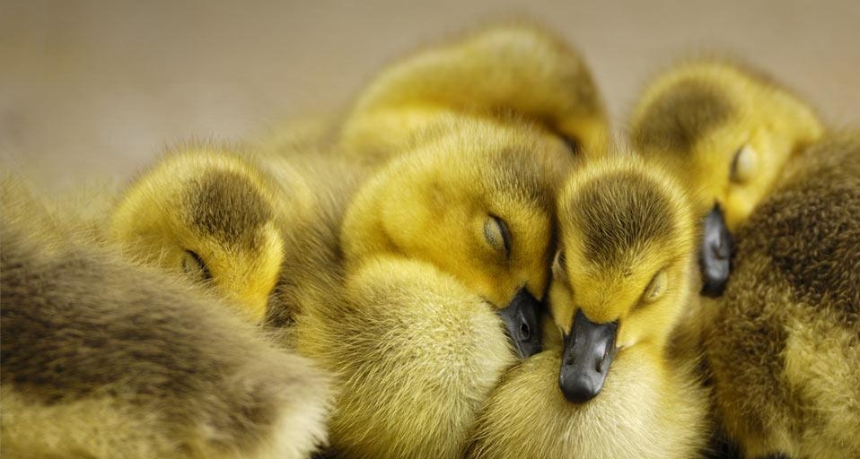 https://bing.ee123.net/img/rand?artid=7818846
