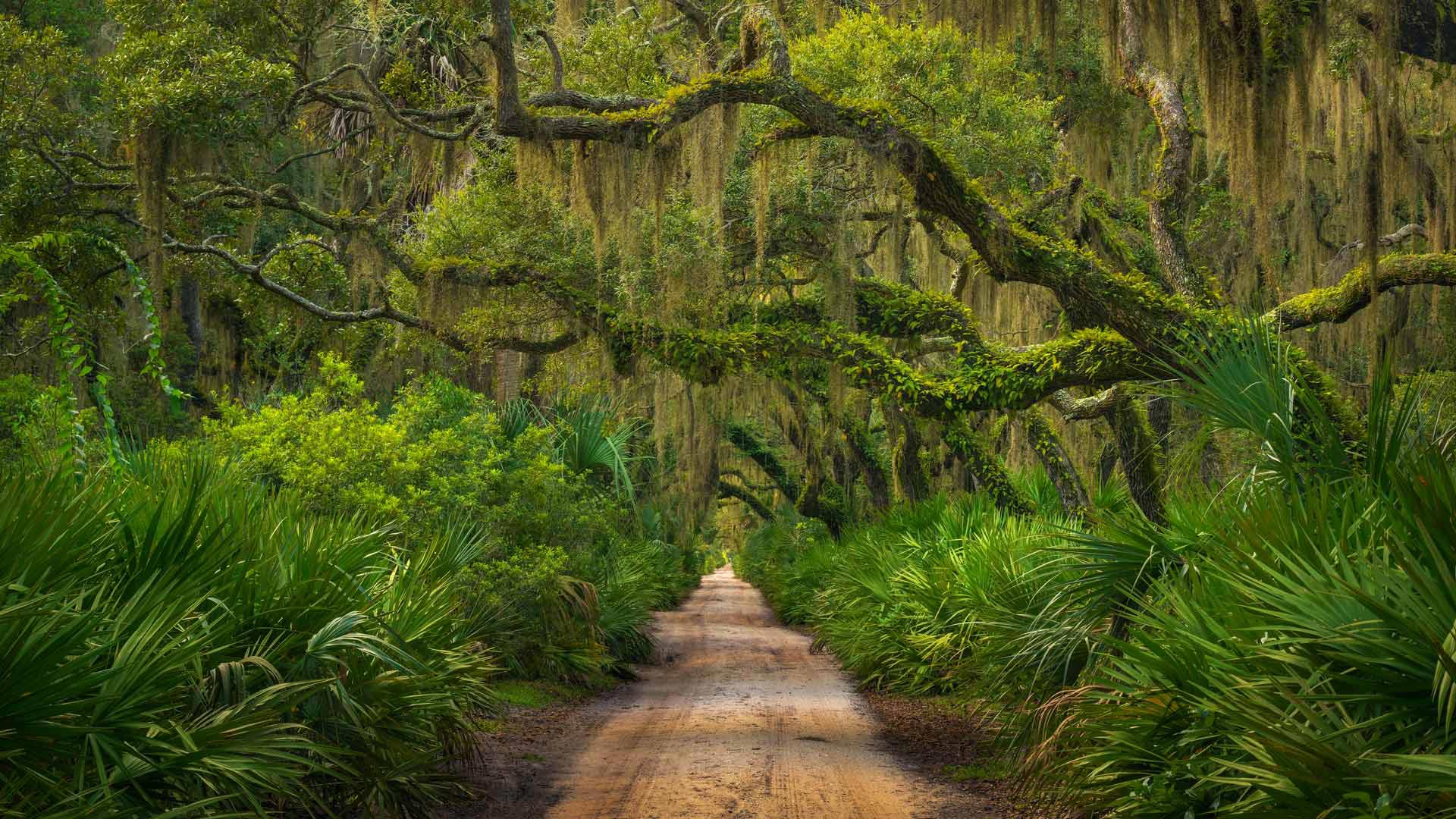 https://bing.ee123.net/img/rand?artid=79544906