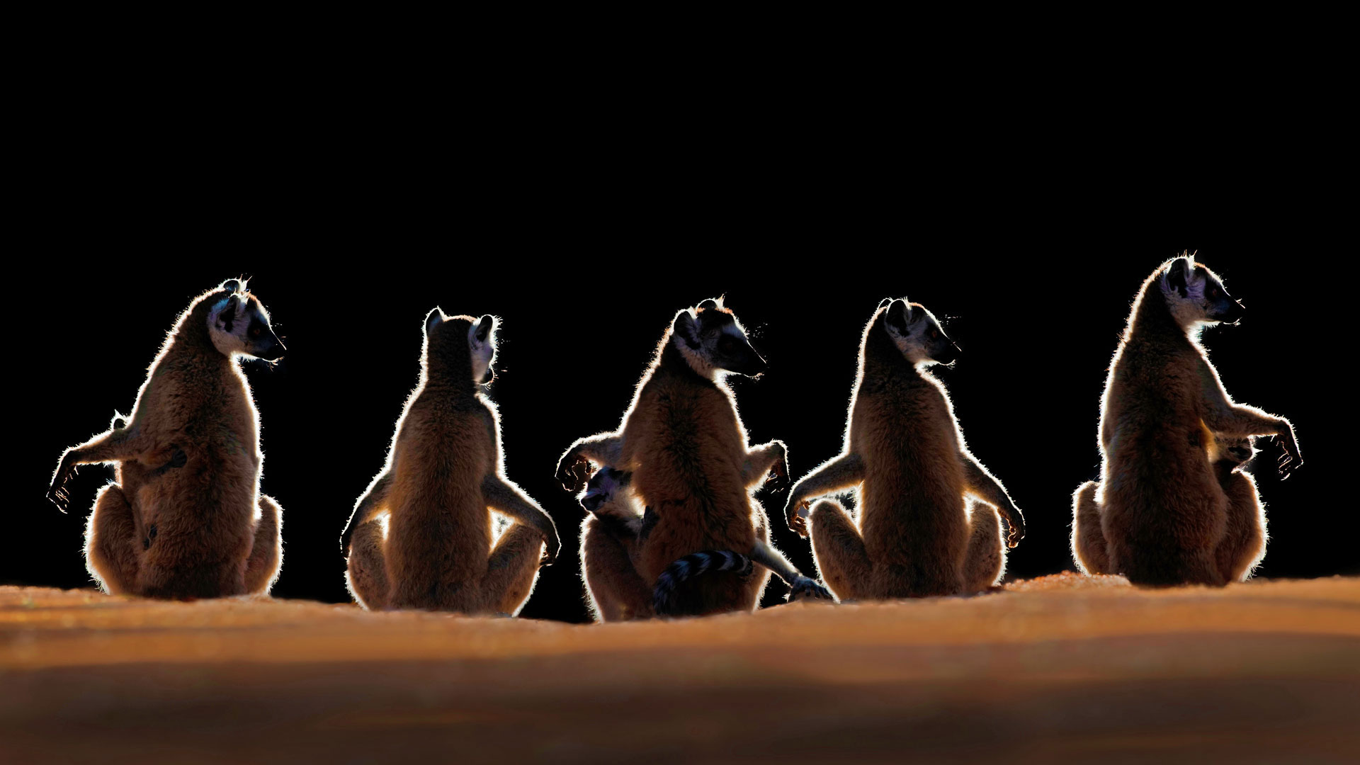 https://bing.ee123.net/img/rand?artid=81260797