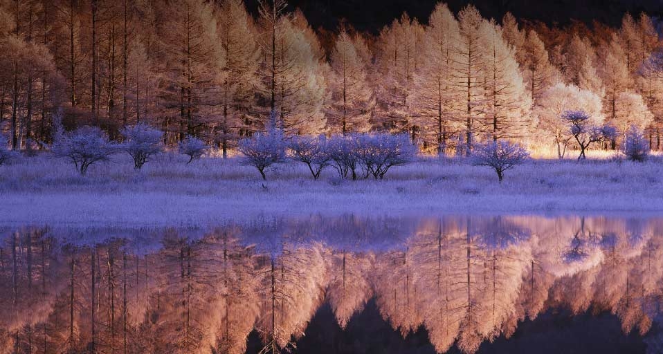 https://bing.ee123.net/img/rand?artid=82505401