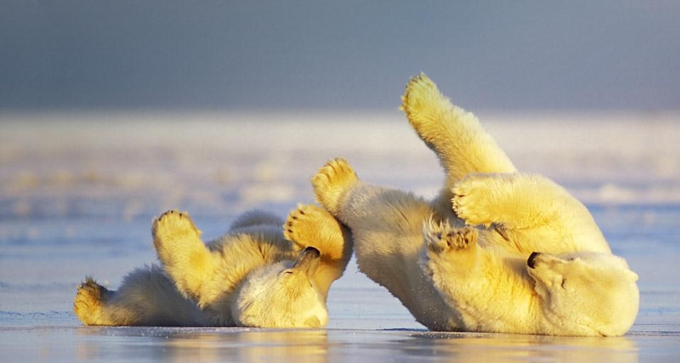 https://bing.ee123.net/img/rand?artid=88574893