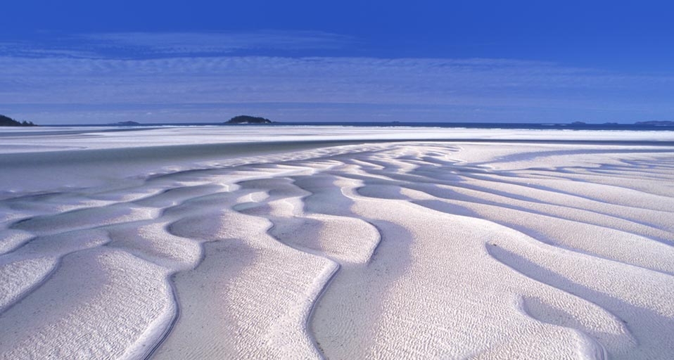 https://bing.ee123.net/img/rand?artid=94389121