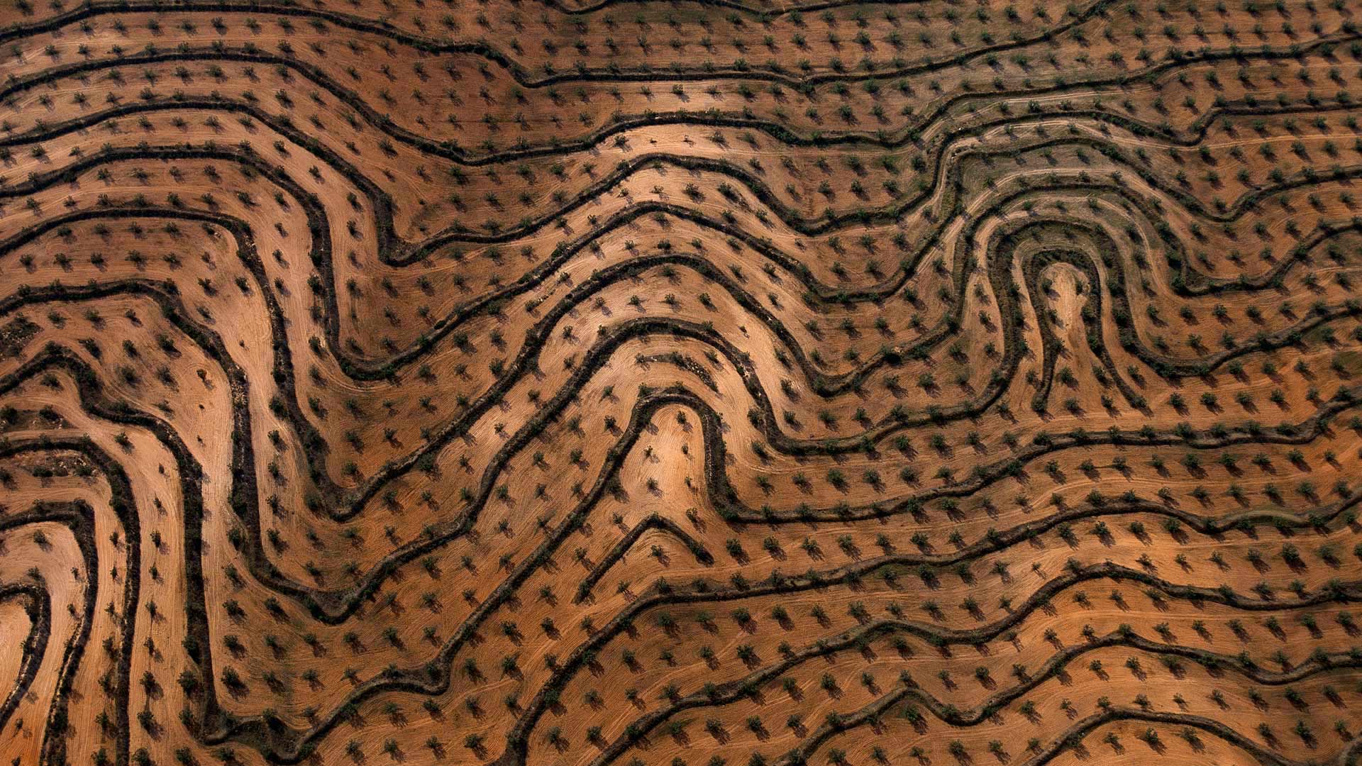 听得清，看得懂！豆包语音识别模型2.0来了