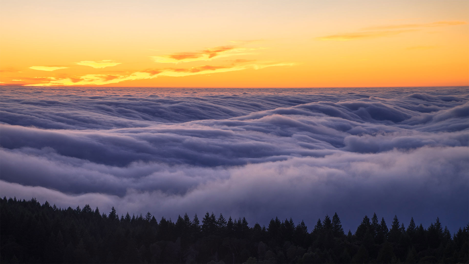 The Lenfest Institute grows landmark program with expanded OpenAI support